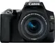 Зеркальный фотоаппарат Canon EOS 250D kit (18-55mm) EF-S IS STM (3454C007)