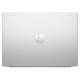 Ноутбук HP ProBook 445 G11 Pike Silver (8Z9P8AV_V1)