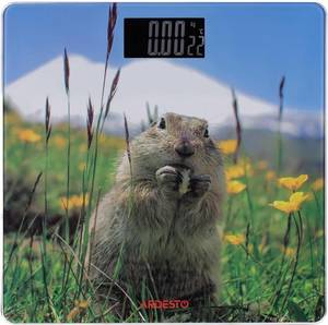 Ваги підлогові електронні Ardesto SCB-965MATTERHORN