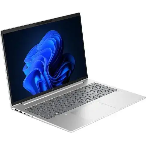 Ноутбук HP ProBook 465 G11 Pike Silver (A38JXET)