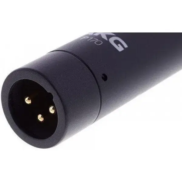 Мікрофон інструментальний AKG P170