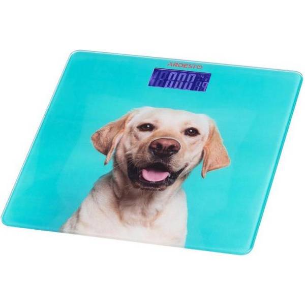 Ваги підлогові електронні Ardesto SCB-965DOG
