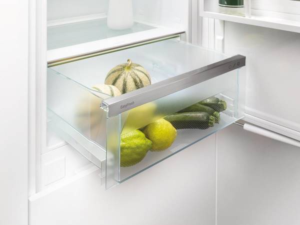 Холодильник з морозильною камерою Liebherr ICNSd 5603 Pure