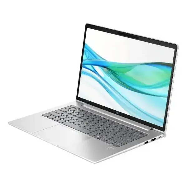 Ноутбук HP ProBook 445 G11 Pike Silver (AD0U0ET)