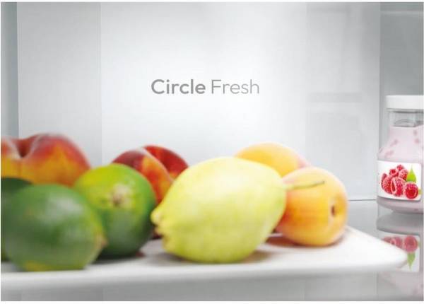 Холодильник з морозильною камерою Candy ECN2CQTEW186