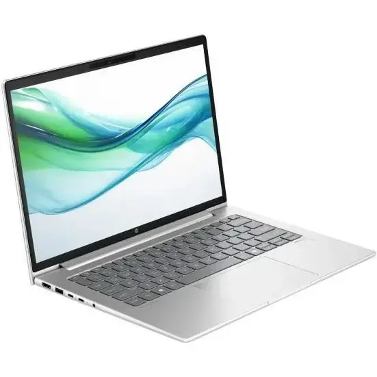 Ноутбук HP ProBook 445 G11 Pike Silver (AD0T7ET)