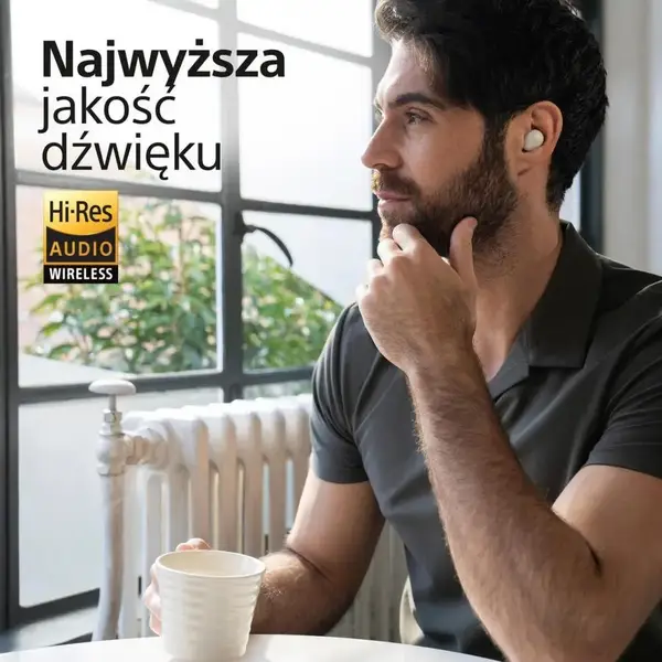 Навушники TWS Sony WF-1000XM5 Silver (WF1000XM5S.CE7)