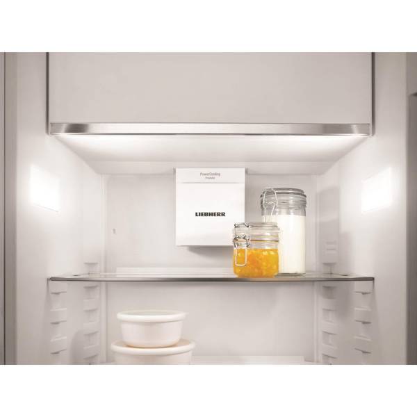 Холодильник з морозильною камерою Liebherr ICe 5103