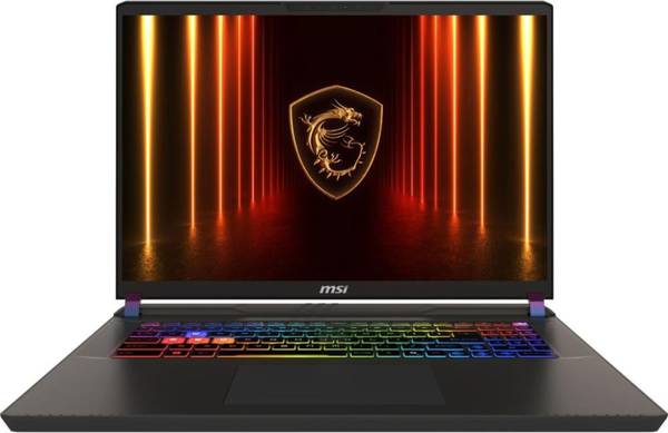 Ноутбук MSI Vector 17 HX AI A2XWJG Cosmos Gray (A2XWJG-042U, 9S7-17S372-042)
