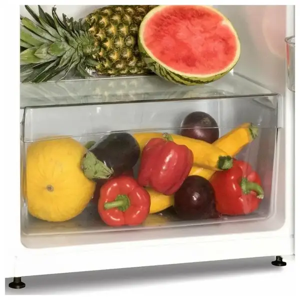 Холодильник з морозильною камерою Snaige FR24SM-PRDO0E