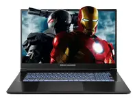 Ноутбук Dream Machines 17" (RG5060-17UA27)