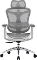 Крісло офісне Sihoo DORO C300L Mesh White