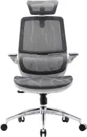 Крісло офісне Sihoo M59AS Mesh Gray