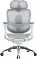 Крісло офісне Sihoo C300 PRO V2 White