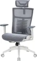 Крісло офісне OfficePro Balance OC620-W-DG-DG